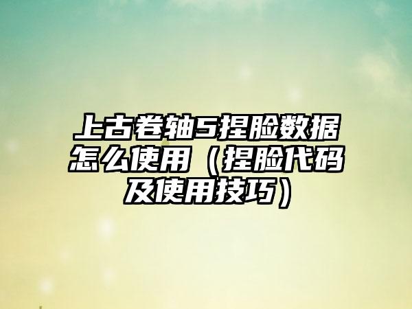 上古卷轴5捏脸数据怎么使用（捏脸代码及使用技巧）