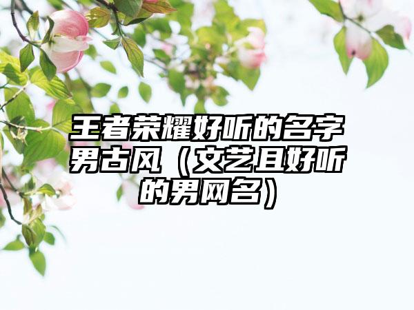 王者荣耀好听的名字男古风（文艺且好听的男网名）