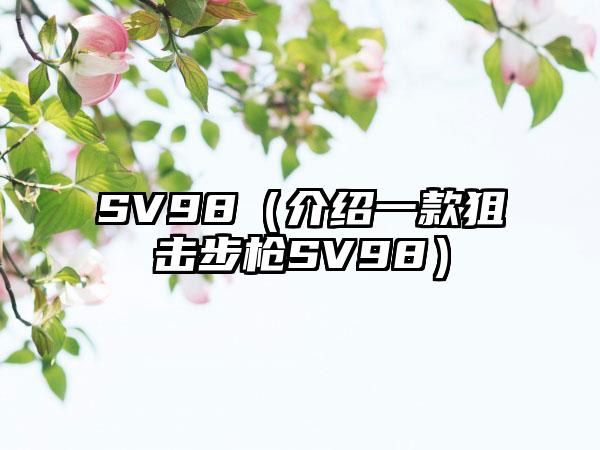 SV98（介绍一款狙击步枪SV98）