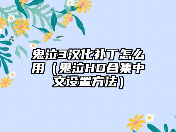 鬼泣3汉化补丁怎么用（鬼泣HD合集中文设置方法）