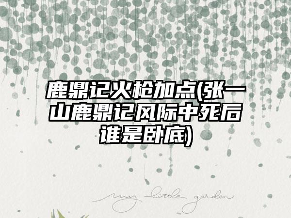 鹿鼎记火枪加点(张一山鹿鼎记风际中死后谁是卧底)