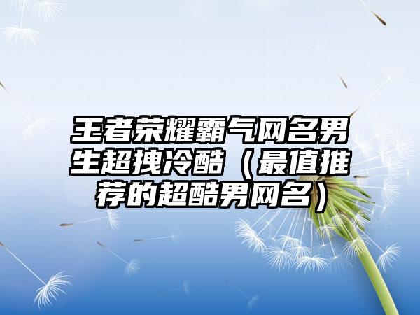 王者荣耀霸气网名男生超拽冷酷（最值推荐的超酷男网名）