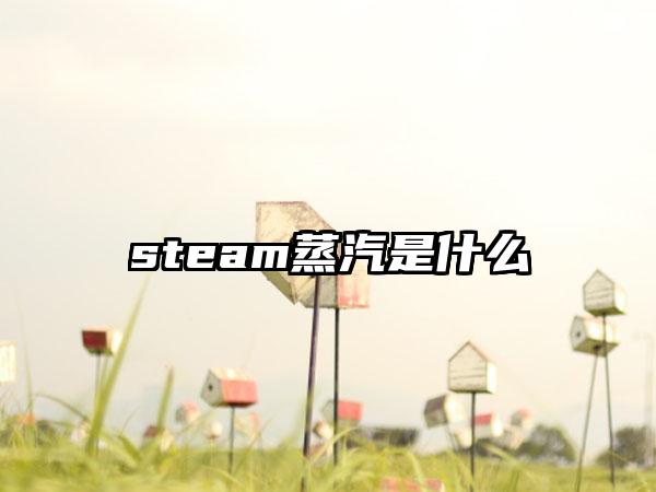 steam蒸汽是什么
