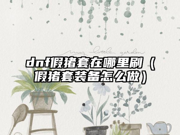 dnf假猪套在哪里刷（假猪套装备怎么做）