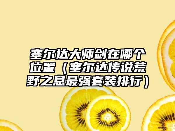 塞尔达大师剑在哪个位置（塞尔达传说荒野之息最强套装排行）