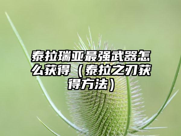 泰拉瑞亚最强武器怎么获得（泰拉之刃获得方法）