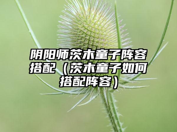阴阳师茨木童子阵容搭配（茨木童子如何搭配阵容）