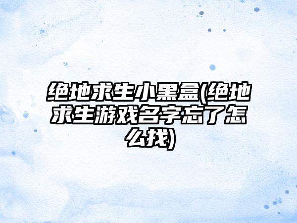 绝地求生小黑盒(绝地求生游戏名字忘了怎么找)