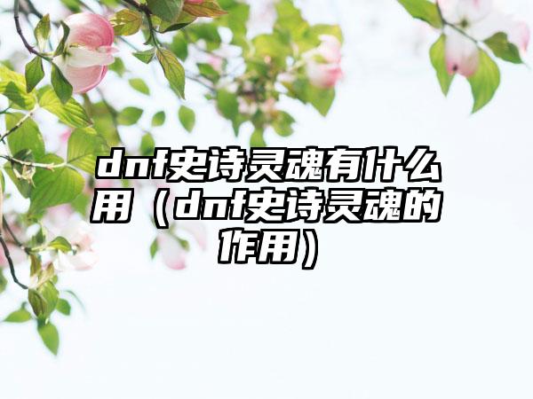dnf史诗灵魂有什么用（dnf史诗灵魂的作用）