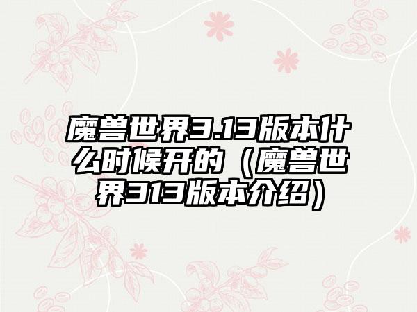 魔兽世界3.13版本什么时候开的（魔兽世界313版本介绍）