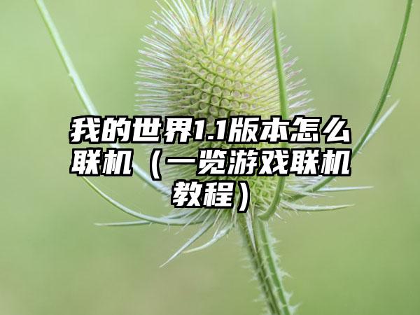 我的世界1.1版本怎么联机（一览游戏联机教程）