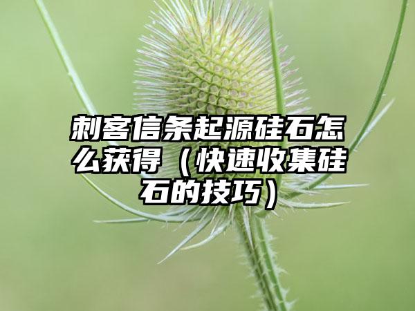 刺客信条起源硅石怎么获得（快速收集硅石的技巧）