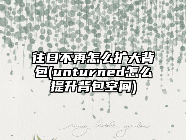 往日不再怎么扩大背包(unturned怎么提升背包空间)