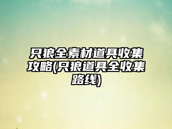 只狼全素材道具收集攻略(只狼道具全收集路线)