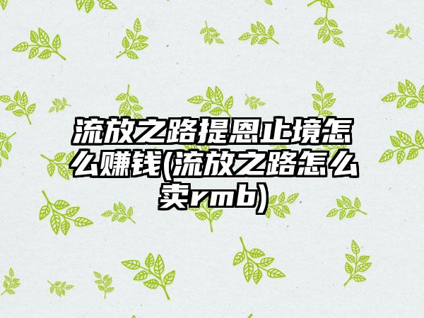 流放之路提恩止境怎么赚钱(流放之路怎么卖rmb)