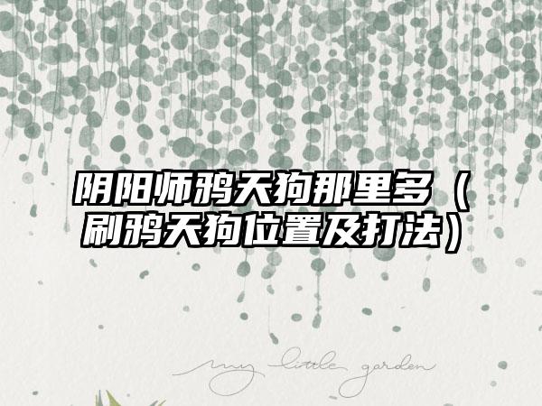 阴阳师鸦天狗那里多（刷鸦天狗位置及打法）