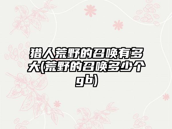 猎人荒野的召唤有多大(荒野的召唤多少个gb)