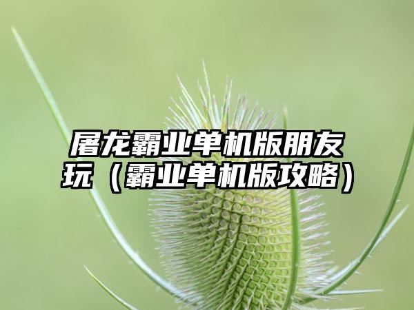 屠龙霸业单机版朋友玩（霸业单机版攻略）