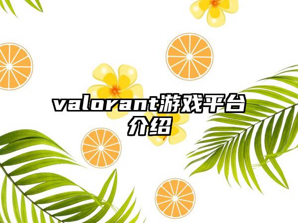 valorant游戏平台介绍