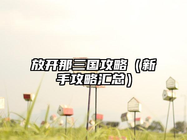 放开那三国攻略（新手攻略汇总）