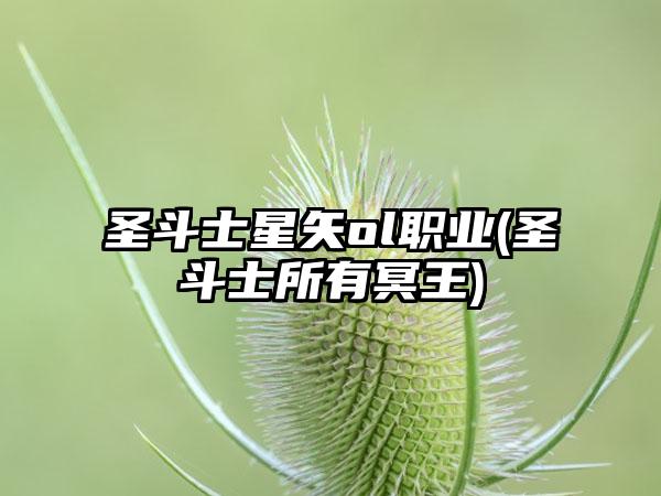 圣斗士星矢ol职业(圣斗士所有冥王)