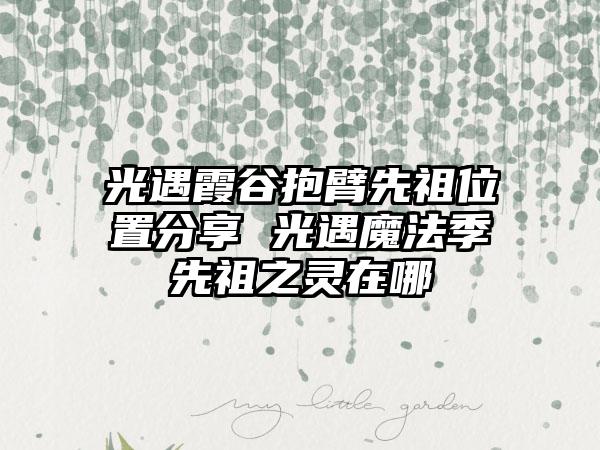 光遇霞谷抱臂先祖位置分享 光遇魔法季先祖之灵在哪