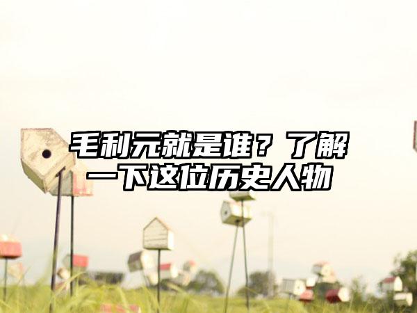 毛利元就是谁？了解一下这位历史人物