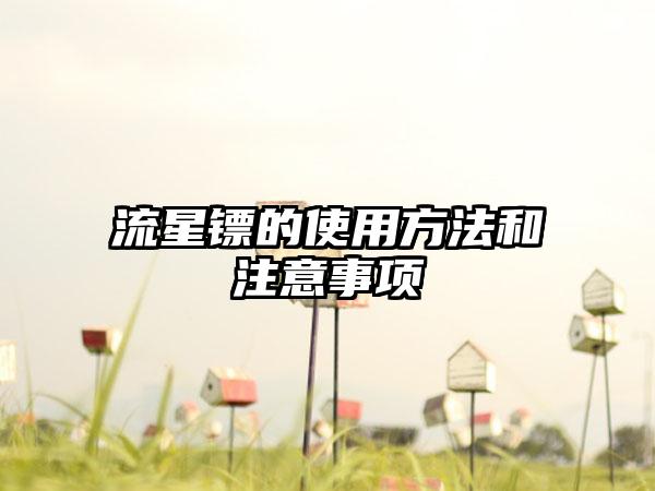流星镖的使用方法和注意事项