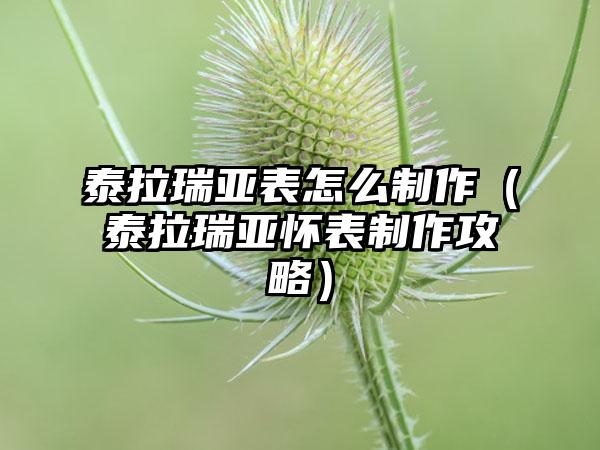 泰拉瑞亚表怎么制作（泰拉瑞亚怀表制作攻略）