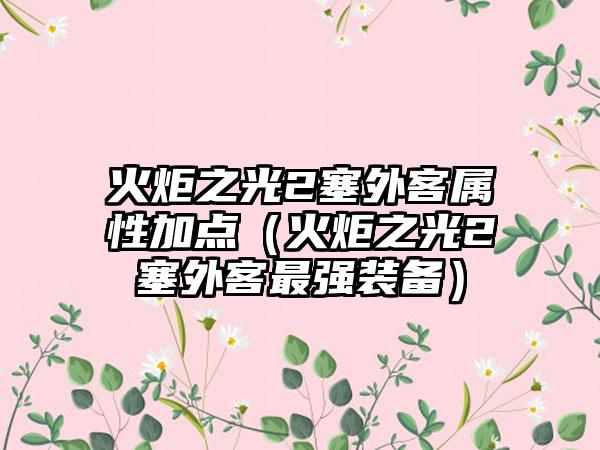 火炬之光2塞外客属性加点（火炬之光2塞外客最强装备）