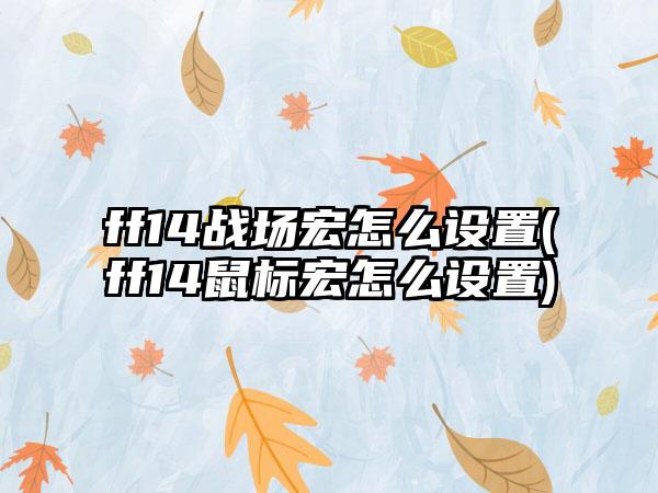 ff14战场宏怎么设置(ff14鼠标宏怎么设置)