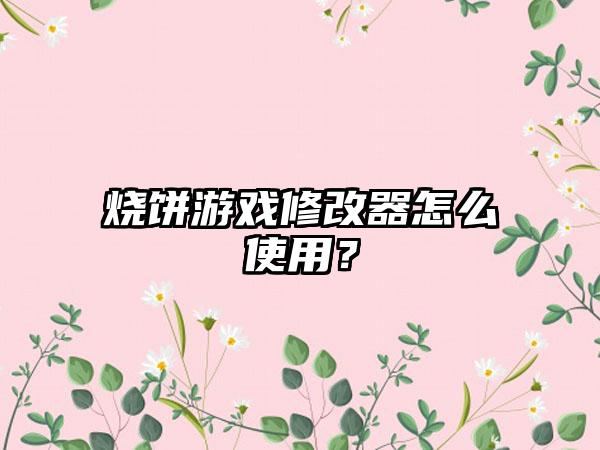 烧饼游戏修改器怎么使用?