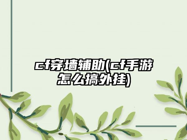 cf穿墙辅助(cf手游怎么搞外挂)