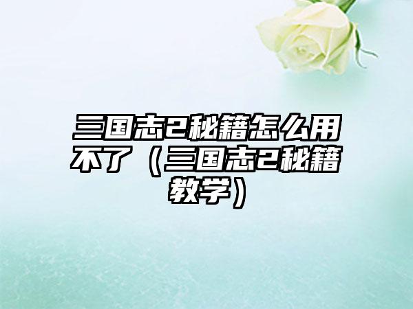 三国志2秘籍怎么用不了（三国志2秘籍教学）