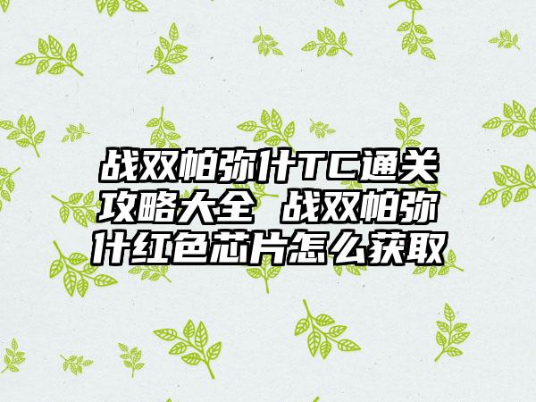 战双帕弥什TC通关攻略大全 战双帕弥什红色芯片怎么获取