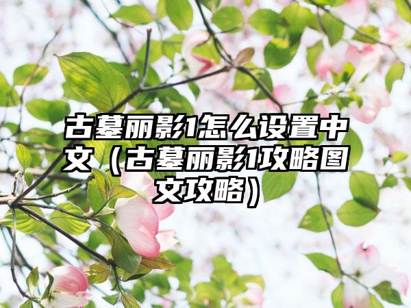 古墓丽影1怎么设置中文（古墓丽影1攻略图文攻略）