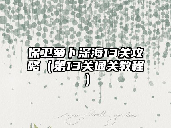 保卫萝卜深海13关攻略（第13关通关教程）