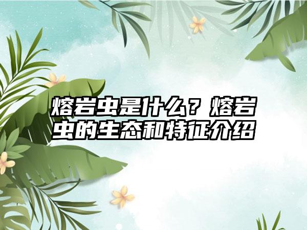 熔岩虫是什么？熔岩虫的生态和特征介绍