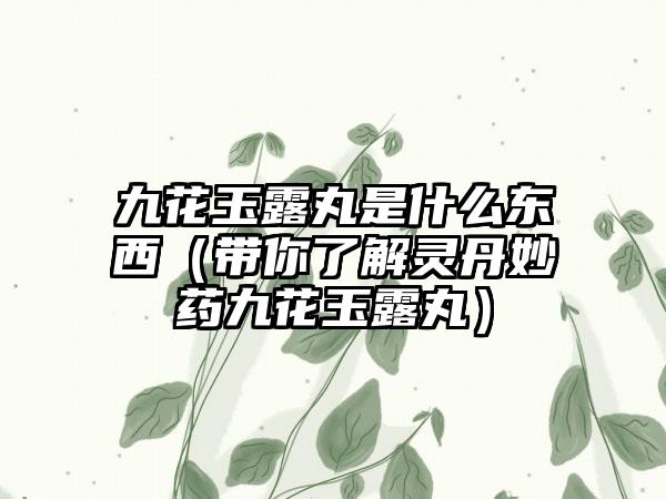 九花玉露丸是什么东西（带你了解灵丹妙药九花玉露丸）