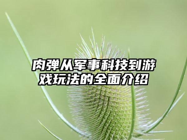 肉弹从军事科技到游戏玩法的全面介绍