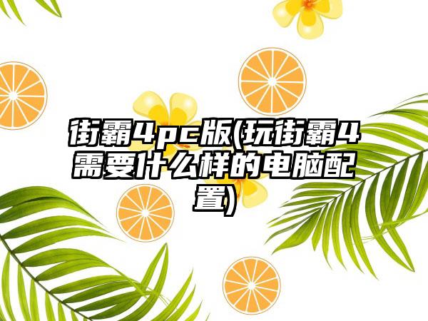 街霸4pc版(玩街霸4需要什么样的电脑配置)