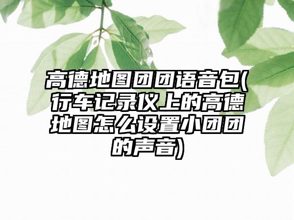 高德地图团团语音包(行车记录仪上的高德地图怎么设置小团团的声音)
