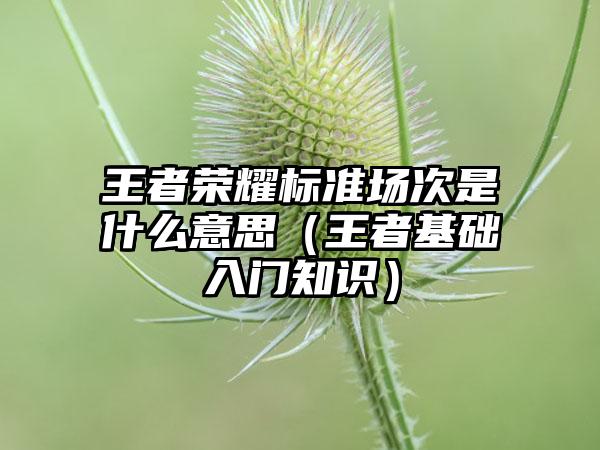 王者荣耀标准场次是什么意思（王者基础入门知识）