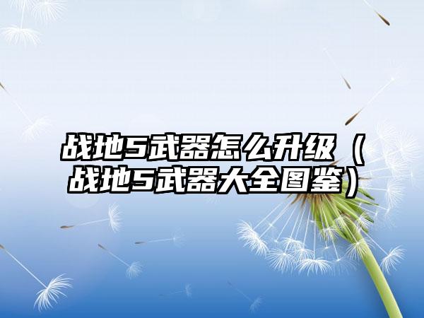 战地5武器怎么升级（战地5武器大全图鉴）