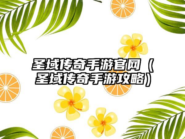 圣域传奇手游（圣域传奇手游攻略）