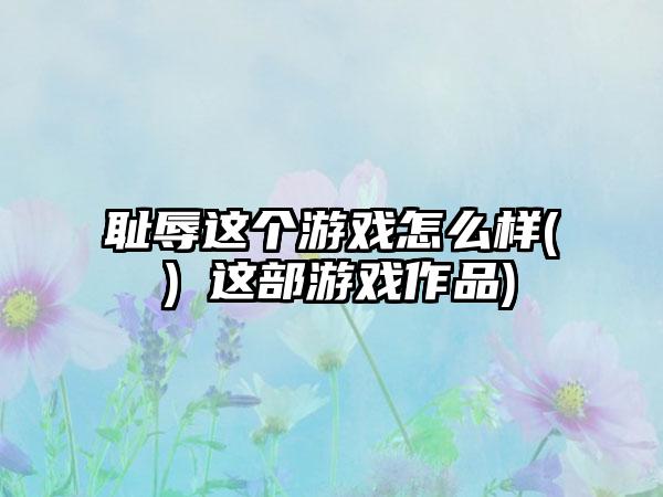 耻辱这个游戏怎么样(）这部游戏作品)