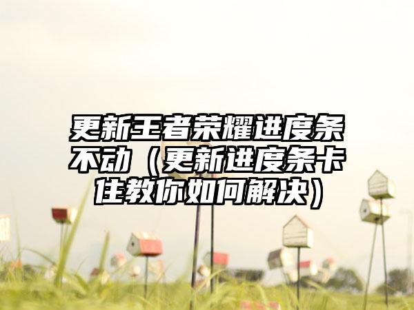 更新王者荣耀进度条不动（更新进度条卡住教你如何解决）