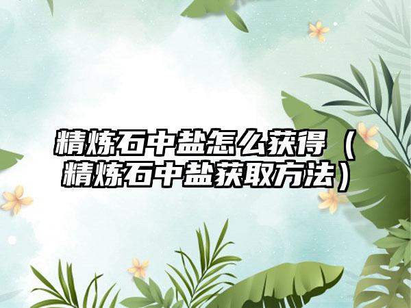 精炼石中盐怎么获得（精炼石中盐获取方法）