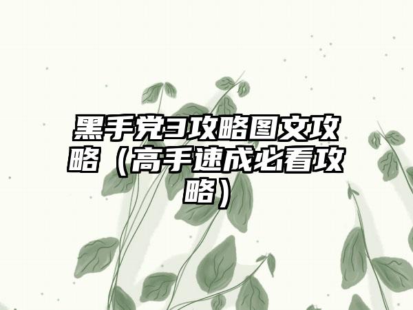 黑手党3攻略图文攻略（高手速成必看攻略）