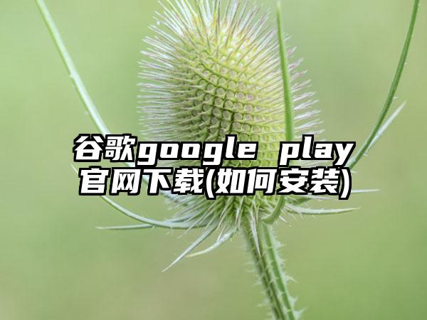 谷歌google play(如何安装)